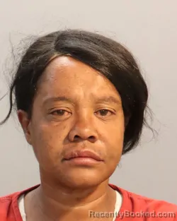 Mugshot of TAKIELA NICHOLE HINES booked in Knox County, Tennessee on May 13, 2026