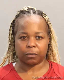 Mugshot of Olasanya Darlene-Jeanine Harris booked in Knox County, Tennessee on August 31, 2026