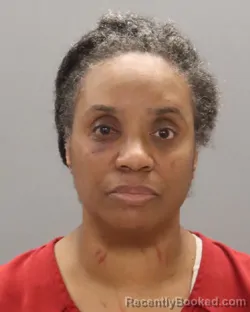 Mugshot of Minona Lowe booked in Knox County, Tennessee on August 20, 2026