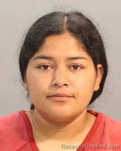 Mugshot of Fatima Sanchez-Monterrosa booked in Knox County, Tennessee on August 27, 2026