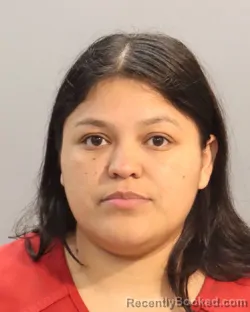 Mugshot of Selina Villareal-Gonzalez booked in Knox County, Tennessee on August 27, 2026