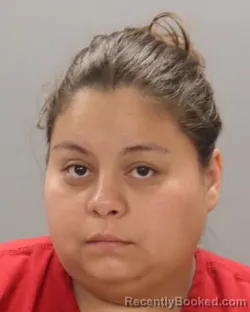 Mugshot of Irma Hernandez booked in Knox County, Tennessee on September 5, 2026