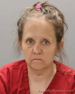 Mugshot of TIRA MICHELLE NOE