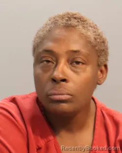 Mugshot of KHALILAH LENICE CHIGANO booked in Knox County, Tennessee on May 13, 2026