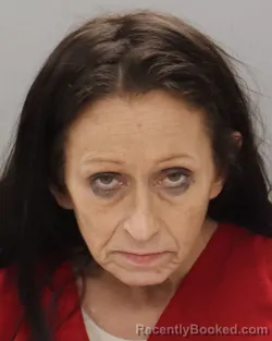 Mugshot of SHERRIE LEIGH CHUDLEY