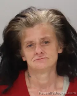 Mugshot of TERESA CHRISTINE STIPES