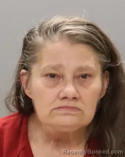 Mugshot of STACY R ROBERTS booked in Knox County, Tennessee on June 16, 2026