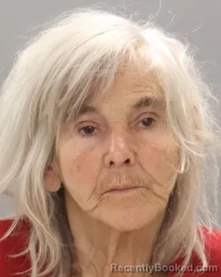 Mugshot of NANCY JO MCGHEE