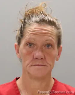 Mugshot of CHRISTINE DOLORES COLLINS booked in Knox County, Tennessee on May 9, 2026