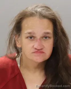 Mugshot of WENDY ANN FRANKLIN