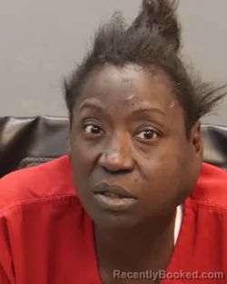 Mugshot of JESSICA NICOLE HUDGINS