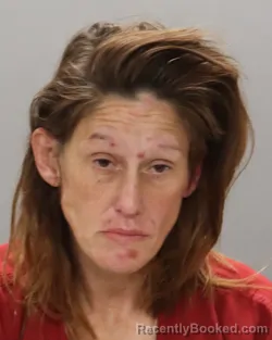 Mugshot of DUSTIE CHEYENNE MCMILLAN