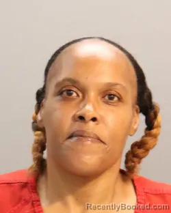 Mugshot of VANESSA RACHELLE SCOTT booked in Knox County, Tennessee on June 25, 2026