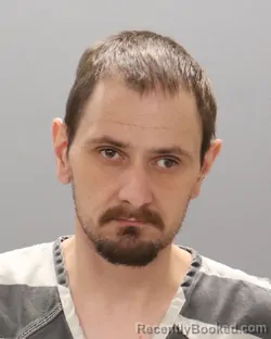 Mugshot of LOUIS HOUSTON MCCANN