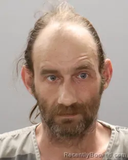 Mugshot of DAVID ANDREW WELLS