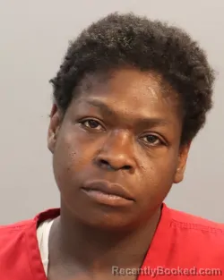 Mugshot of YVETTE NICOLE SMITH