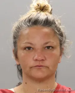 Mugshot of JESSICA SUE LEWIS