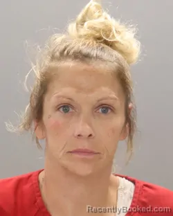 Mugshot of JOY DENISE WILLIAMS booked in Knox County, Tennessee on July 14, 2026