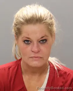 Mugshot of TABATHA RENEE JOHNSON booked in Knox County, Tennessee on April 25, 2026