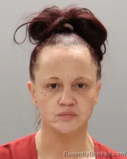 Mugshot of JAMIE SHUREE HAPTONSTALL