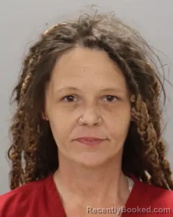 Mugshot of AMANDA NICOLE PERKINS