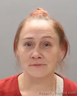 Mugshot of BRITTNEY ALICE SHIPLEY