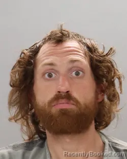 Mugshot of BRANDON MICHAEL WILLIAMS