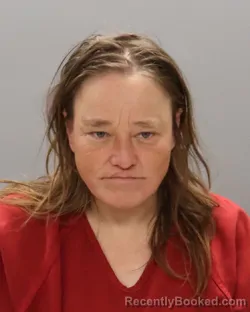 Mugshot of WANDA FAYE PHILLIPS