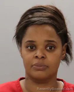 Mugshot of BRANDY SHAREECE SANDERS