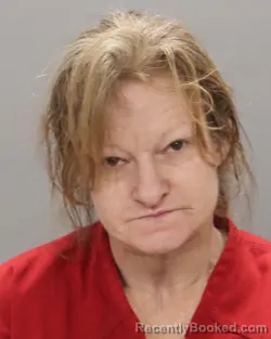 Mugshot of CASANDRA LEE FANNIN