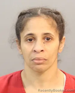 Mugshot of CHERYL A BREIGHNER