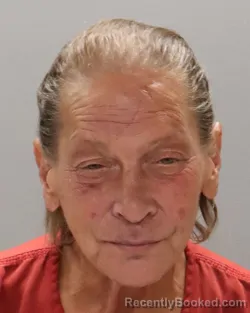 Mugshot of TRACY LYNN FAZEKAS booked in Knox County, Tennessee on May 14, 2026