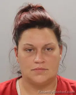 Mugshot of Jessica Leanne Linebarger booked in Knox County, Tennessee on September 13, 2026