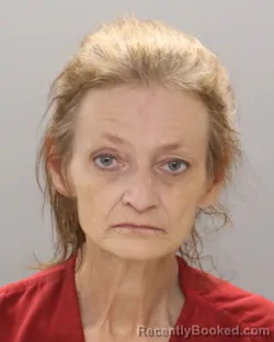 Mugshot of Michele L Ene Mcdowell booked in Knox County, Tennessee on August 16, 2026