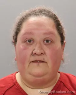 Mugshot of MEGAN RONEY BROCKETT