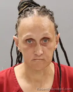 Mugshot of SUNSHINE LESHELLE NUGRAHA booked in Knox County, Tennessee on April 20, 2026