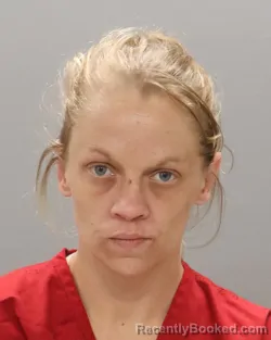 Mugshot of BRIDGETT NICOLE DANIEL