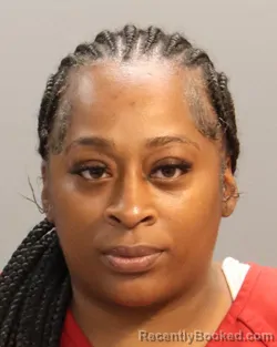 Mugshot of JAMESHIA SHANTEL TAYLOR booked in Knox County, Tennessee on May 11, 2026