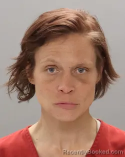 Mugshot of AMANDA DAWN DRUMMER