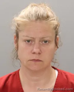 Mugshot of RACHEL LYNN POTTS