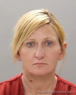 Mugshot of MELISSA AMERICA TONEY