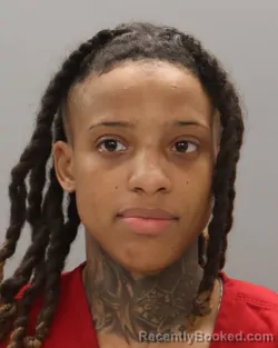 Mugshot of WAYNISHA MONIQUE HAMILTON booked in Knox County, Tennessee on June 26, 2026