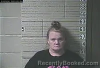 Mugshot of Wendy Starleena Mcgee booked in Lawrence County, Tennessee on July 27, 2026