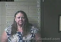 Mugshot of Heather Nicole White booked in Lawrence County, Tennessee on August 20, 2026