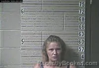 Mugshot of Rene Jean Fleming booked in Lawrence County, Tennessee on July 26, 2026