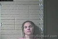 Mugshot of KELLY NICHOLE BOLES booked in Lawrence County, Tennessee on May 8, 2026