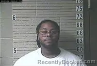 Mugshot of JORTAN LANE REYNOLDS booked in Lawrence County, Tennessee on June 15, 2026