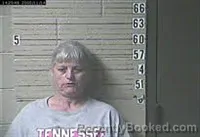 Booking photo from Lawrence County, Tennessee
