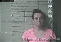 Mugshot of Delisa Dawn Holt booked in Lawrence County, Tennessee on September 12, 2026