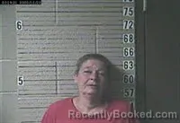Mugshot of TINA ELEENE ALLEN booked in Lawrence County, Tennessee on July 13, 2026